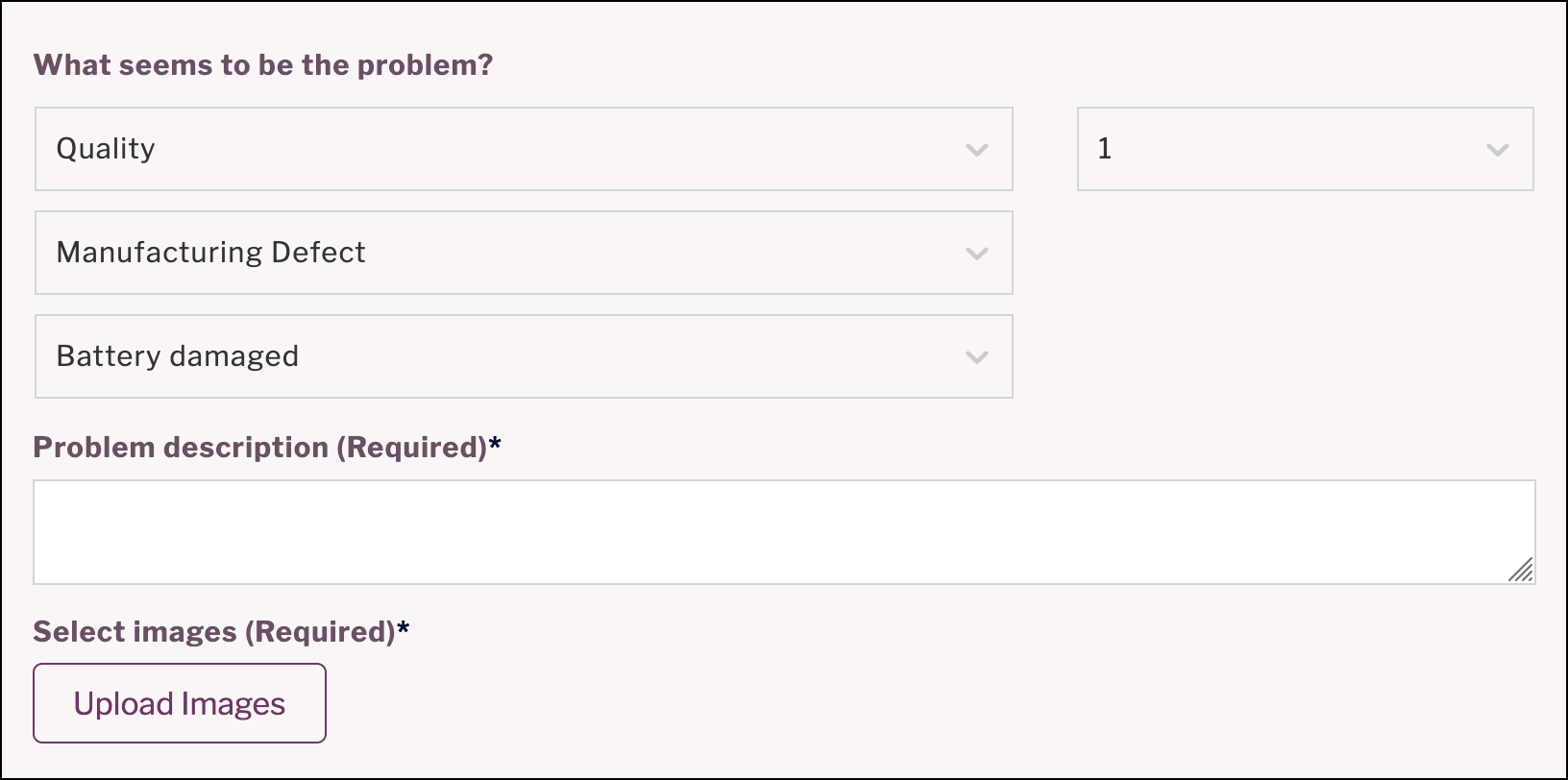 Selected return reason with prompt for mandatory feedback